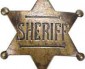 Annual Shop with a Cop event